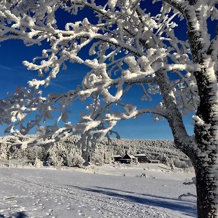 Ξενοδοχείο Jens Weissflog Oberwiesenthal
