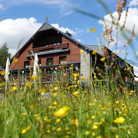 Jens Weissflog Ξενοδοχείο 4*