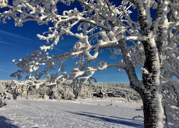 فندق Jens Weissflog كورورت اوبرويسنثا