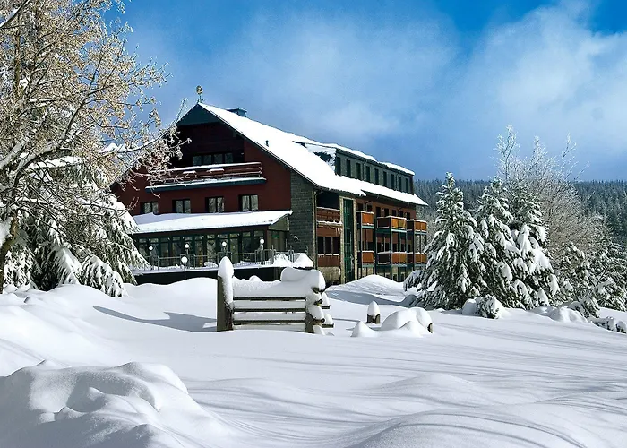 فندق Jens Weissflog 4*