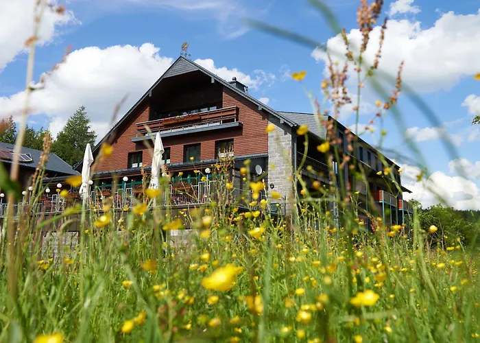 Jens Weissflog فندق 4*