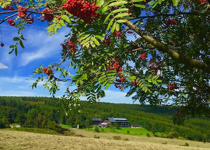 Jens Weissflog فندق 4*